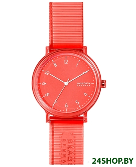 Наручные часы Skagen SKW6603 Наручные часы Skagen SKW6603