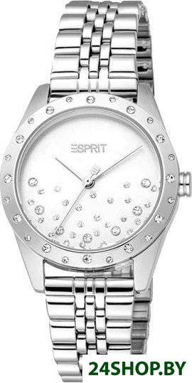 Наручные часы Esprit ES1L405M0015 Наручные часы Esprit ES1L405M0015