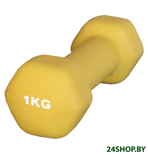 Гантели Atemi AD-01 1.5 кг Гантели Atemi AD-01 1.5 кг