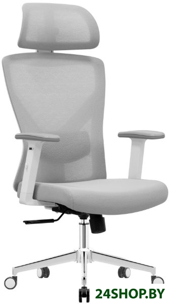 Офисное кресло Evolution ErgoLine 2 (серый) Офисное кресло Evolution ErgoLine 2 (серый)