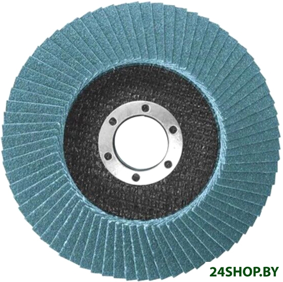 Шлифовальный круг Total TAC641251 Шлифовальный круг Total TAC641251