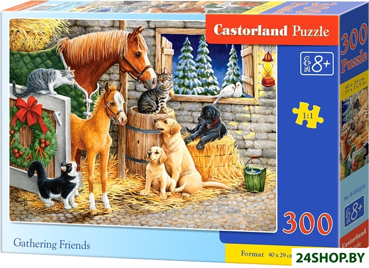 Пазл Castorland Друзья B-030255 Пазл Castorland Друзья B-030255