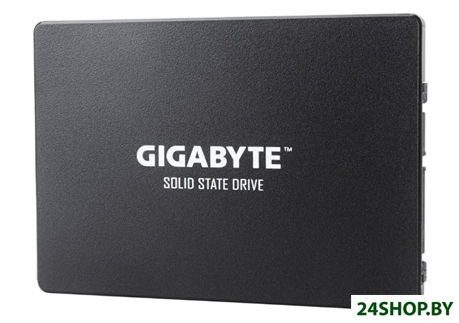 SSD Gigabyte 256GB GP-GSTFS31256GTND SSD Gigabyte 256GB GP-GSTFS31256GTND