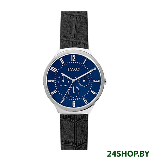 Наручные часы Skagen SKW6535 Наручные часы Skagen SKW6535