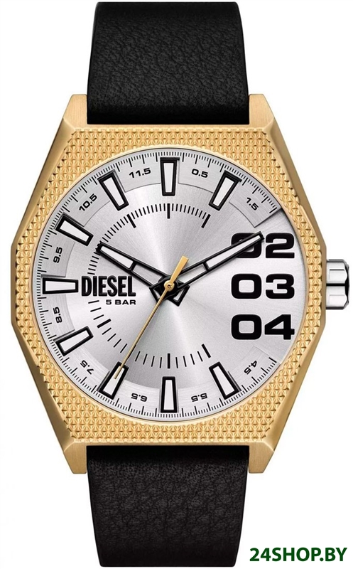 Наручные часы Diesel DZ2219 Наручные часы Diesel DZ2219
