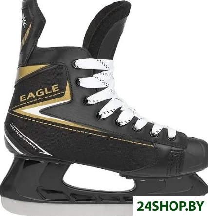 Коньки хоккейные Ricos Eagle PW-206AJ (р.38) Коньки хоккейные Ricos Eagle PW-206AJ (р.38)