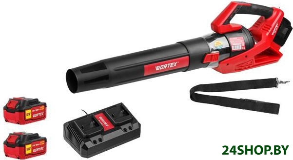 Ручная воздуходувка Wortex BB 2536 D ALL1 1333405 (с 2-мя АКБ) Ручная воздуходувка Wortex BB 2536 D ALL1 1333405 (с 2-мя АКБ)