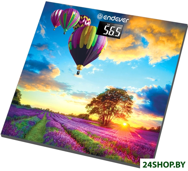 Весы напольные Endever AURORA-551 (Воздушный Шар) Весы напольные Endever AURORA-551 (Воздушный Шар)