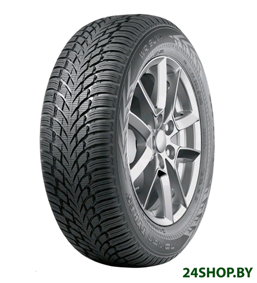 Автомобильные шины Nokian WR SUV 4 215/70R16 100H Автомобильные шины Nokian WR SUV 4 215/70R16 100H