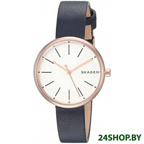 Наручные часы Skagen SKW2592 Наручные часы Skagen SKW2592