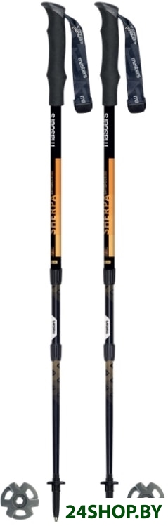 Треккинговые палки Masters Shepra Antishock CSS 01S2519 Треккинговые палки Masters Shepra Antishock CSS 01S2519