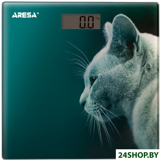 Напольные весы ARESA AR-4412 Напольные весы ARESA AR-4412