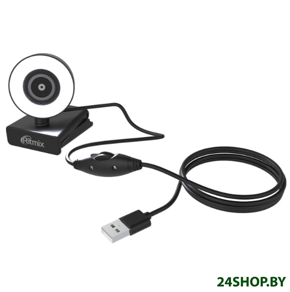 Веб-камера Ritmix RVC-250 Веб-камера Ritmix RVC-250