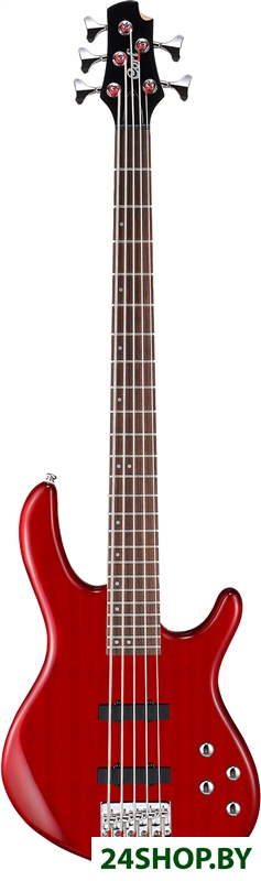 Бас-гитара Cort Action Bass V Plus TR Бас-гитара Cort Action Bass V Plus TR