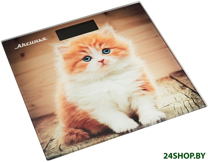 Напольные весы Аксинья КС-6000 (рыжий кот) Напольные весы Аксинья КС-6000 (рыжий кот)