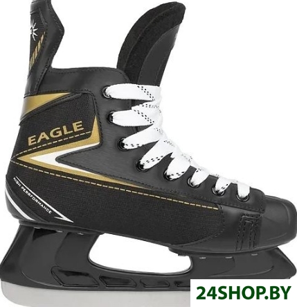 Коньки хоккейные Ricos Eagle PW-206AJ (р.39) Коньки хоккейные Ricos Eagle PW-206AJ (р.39)