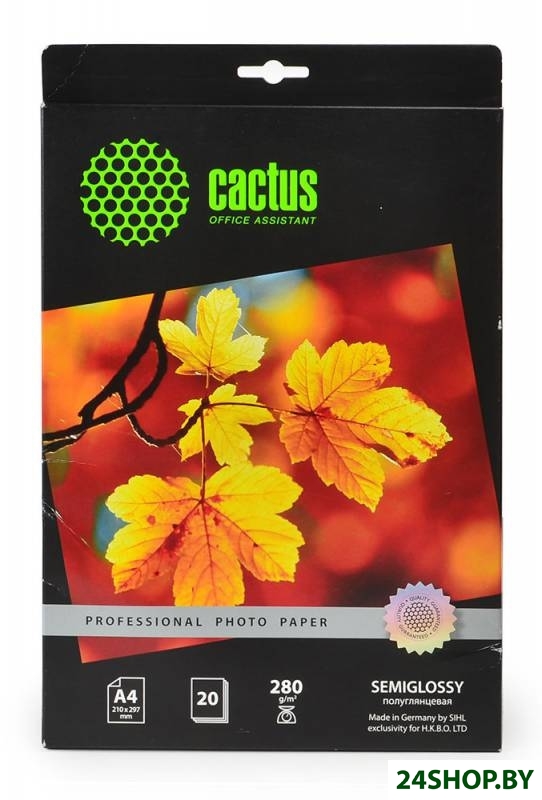 Фотобумага Cactus Prof A4 280г/м2 20 л (CS-SGA428020) Фотобумага Cactus Prof A4 280г/м2 20 л (CS-SGA428020)