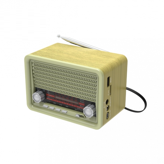 Радиоприемник Ritmix RPR-030 (золотистый) Радиоприемник Ritmix RPR-030 (золотистый)