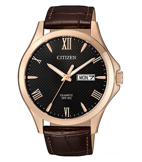Наручные часы Citizen BF2023-01H Наручные часы Citizen BF2023-01H