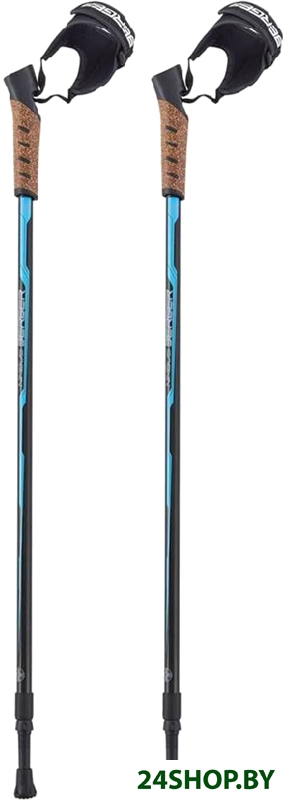 Палки для скандинавской ходьбы Berger Nimbus 77-135 (черный/голубой) Палки для скандинавской ходьбы Berger Nimbus 77-135 (черный/голубой)