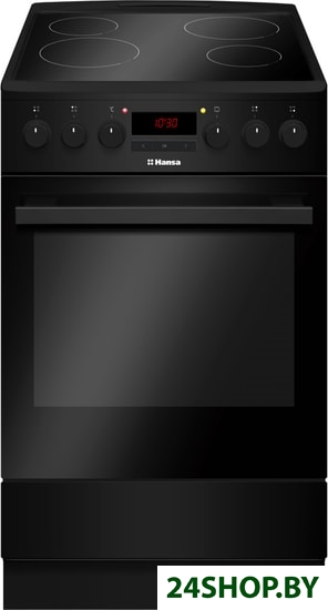 Кухонная плита Hansa FCCM58203 Кухонная плита Hansa FCCM58203
