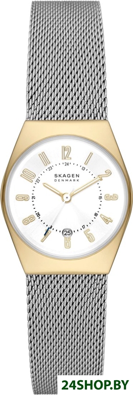 Наручные часы Skagen Grenen Lille SKW3051 Наручные часы Skagen Grenen Lille SKW3051