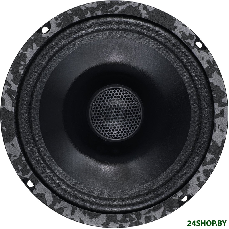 Коаксиальная АС DL Audio Anaconda 165 Coax Коаксиальная АС DL Audio Anaconda 165 Coax
