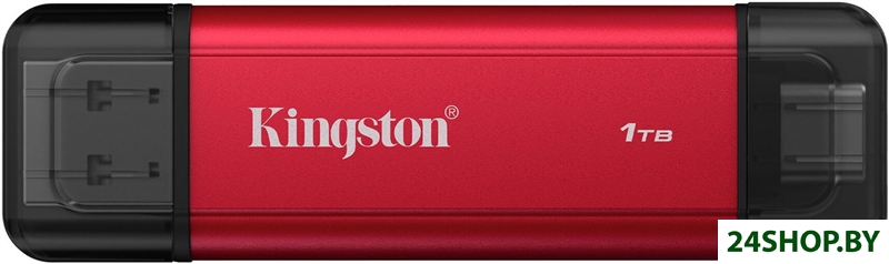 Внешний накопитель Kingston Dual Portable SSD SPSD/1TB Внешний накопитель Kingston Dual Portable SSD SPSD/1TB