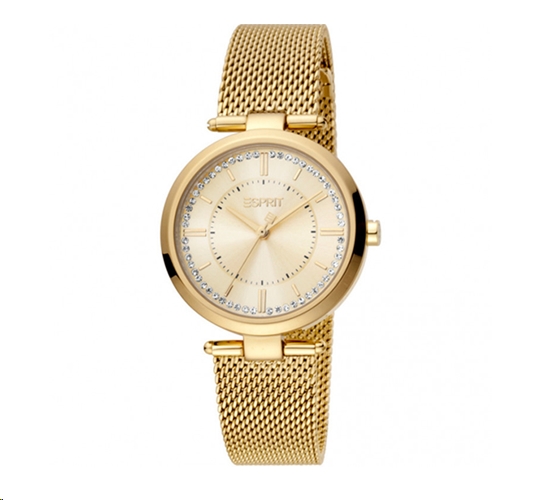Наручные часы Esprit ES1L251M0055 Наручные часы Esprit ES1L251M0055