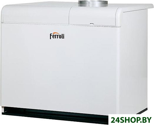 Отопительный котел Ferroli Pegasus F3 N 2S 119 Отопительный котел Ferroli Pegasus F3 N 2S 119