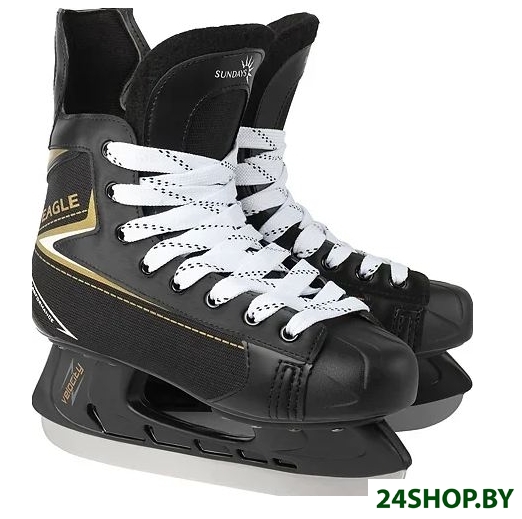 Коньки хоккейные Ricos Eagle PW-206AJ (р.43) Коньки хоккейные Ricos Eagle PW-206AJ (р.43)