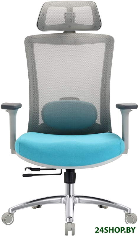 Кресло Evolution ERGO Prime Sky Blue (серый/бирюзовый) Кресло Evolution ERGO Prime Sky Blue (серый/бирюзовый)