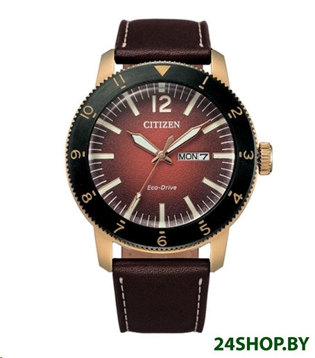 Наручные часы Citizen AW0079-13X Наручные часы Citizen AW0079-13X