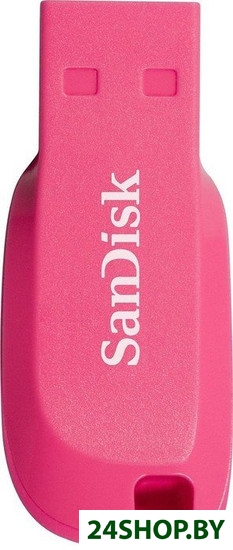 Флеш-память SanDisk Cruzer Blade 16GB (розовый) (SDCZ50C-016G-B35PE) Флеш-память SanDisk Cruzer Blade 16GB (розовый) (SDCZ50C-016G-B35PE)