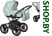 Картинка Универсальная коляска Indigo Broco Eco Plus 14 (2 в 1, Be-04)