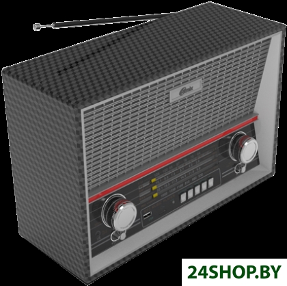 Радиоприемник Ritmix RPR-102 (карбон) Радиоприемник Ritmix RPR-102 (карбон)