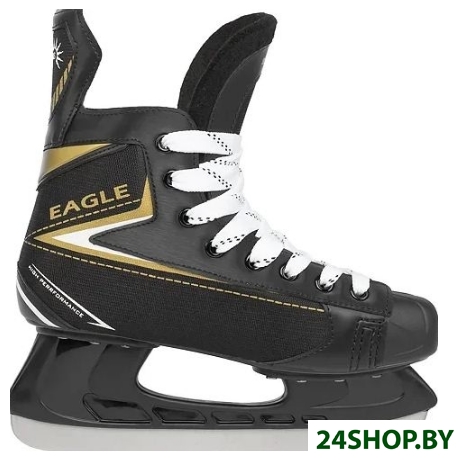 Коньки хоккейные Ricos Eagle PW-206AJ (р.40) Коньки хоккейные Ricos Eagle PW-206AJ (р.40)