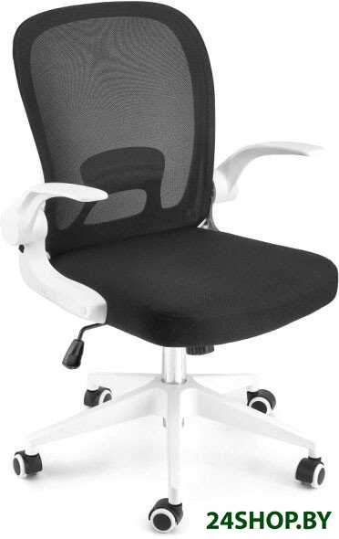 Офисное кресло byRoom Office Template VC6007-BW (черный/белый) Офисное кресло byRoom Office Template VC6007-BW (черный/белый)