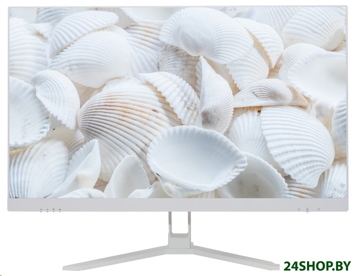Моноблок Z-Tech Standart-W-i594-16-0-240-N-H310-000 Моноблок Z-Tech Standart-W-i594-16-0-240-N-H310-000