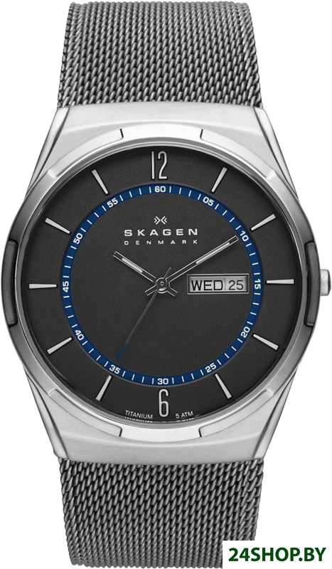 Наручные часы Skagen SKW6078 Наручные часы Skagen SKW6078