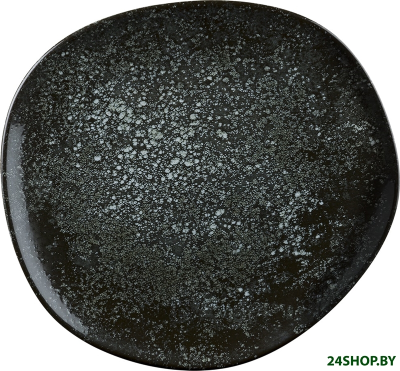 Тарелка обеденная Bonna Cosmos Black Vago COSBLVAO29DZ Тарелка обеденная Bonna Cosmos Black Vago COSBLVAO29DZ