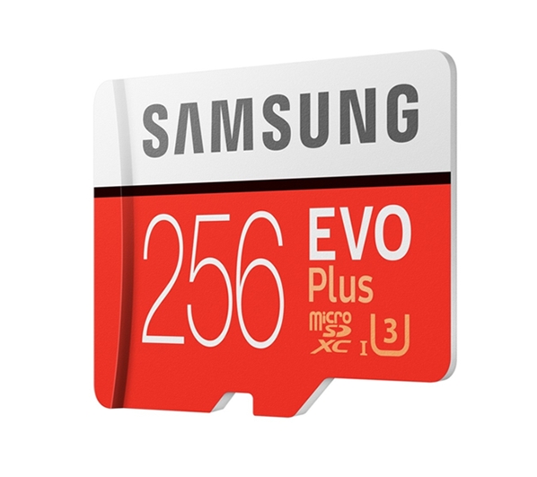 Карта памяти Samsung EVO Plus 2020 microSDXC 256GB (с адаптером) (MB-MC256HA/RU) Карта памяти Samsung EVO Plus 2020 microSDXC 256GB (с адаптером) (MB-MC256HA/RU)
