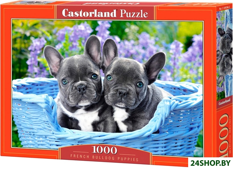 Пазл Castorland Щенки французского бульдога Пазл Castorland Щенки французского бульдога