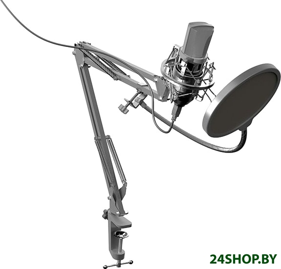 Микрофон Ritmix RDM-169 Микрофон Ritmix RDM-169