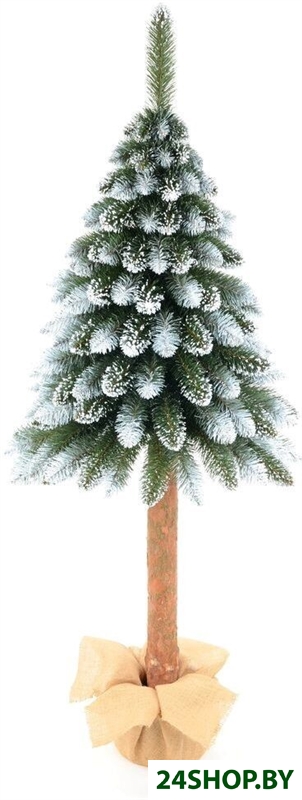 Пихта Erbis Изумрудная на пне 2.1 м Пихта Erbis Изумрудная на пне 2.1 м