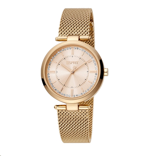 Наручные часы Esprit ES1L251M0065 Наручные часы Esprit ES1L251M0065