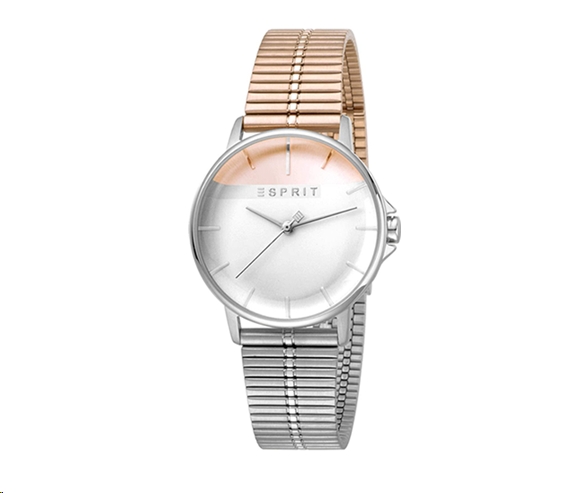 Наручные часы Esprit ES1L065M0105 Наручные часы Esprit ES1L065M0105