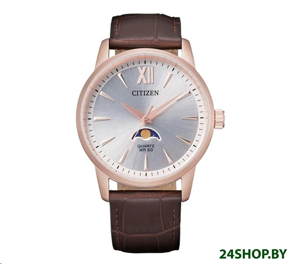 Наручные часы Citizen AK5003-05A Наручные часы Citizen AK5003-05A