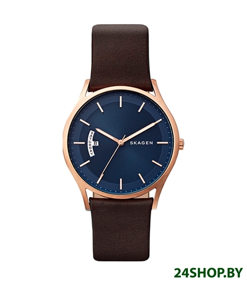 Наручные часы Skagen SKW6395 Наручные часы Skagen SKW6395