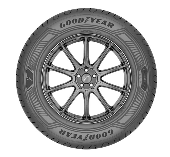 Автомобильные шины Goodyear EfficientGrip 2 SUV 235/55R18 100V Автомобильные шины Goodyear EfficientGrip 2 SUV 235/55R18 100V